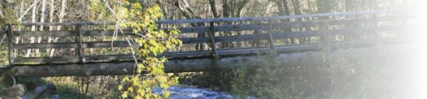 Brcke